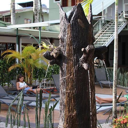 Arenal Poshpacker Hostel La Fortuna Ngoại thất bức ảnh
