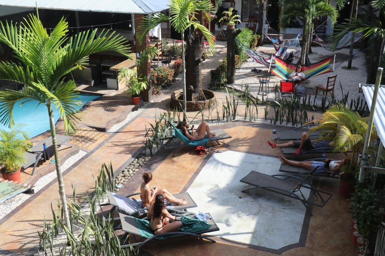 Arenal Poshpacker Hostel La Fortuna Ngoại thất bức ảnh